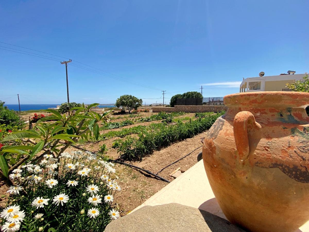 Michail Suites Afiartis Karpathos Esterno foto